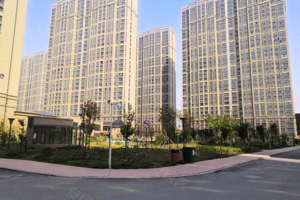 奥达文景观园最新动态，自然美景探索之旅启幕！