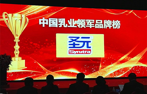 气动盾形闸坝 第4页