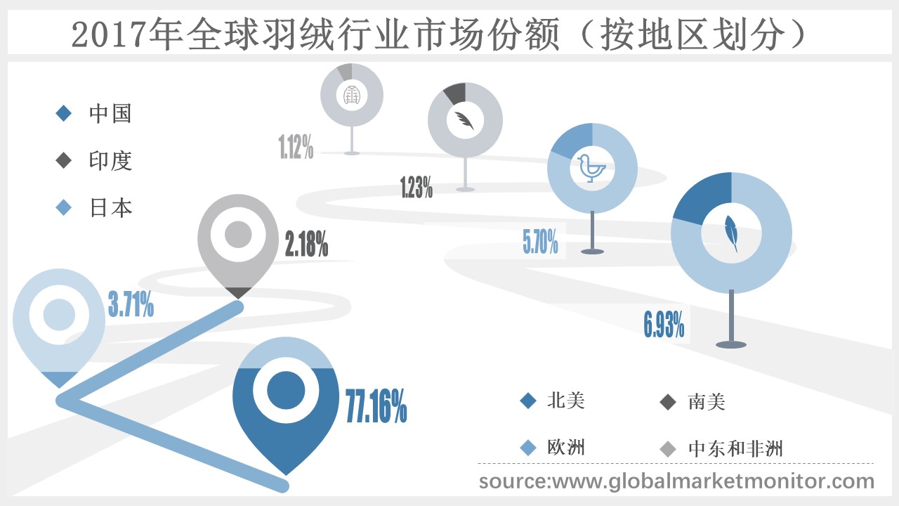 羽绒行情概览，市场趋势、发展机遇与案例分析深度解读