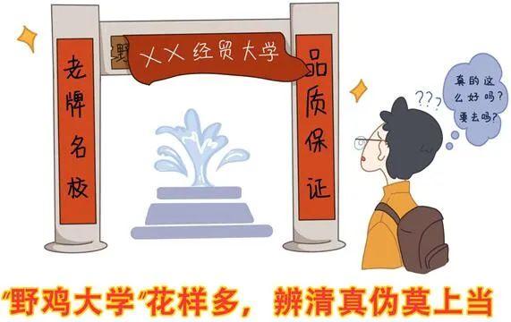 野鸡网最新动态概览